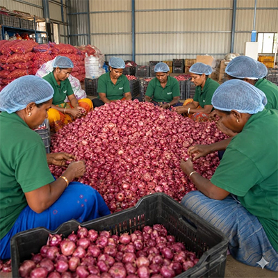 Product Sorting